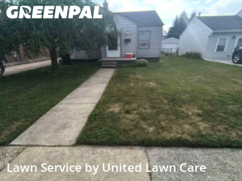 Lawn Service nearby Wyandotte, MI, 