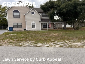 Lawn Cut nearby Spring Hill, FL, 