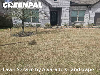 Lawn Cuttingin Porter,77365,Yard Cutting by Alvarado's Landscape, work completed in Nov , 2025