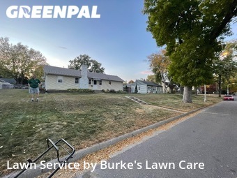 Lawn Mow nearby Minneapolis, MN, 