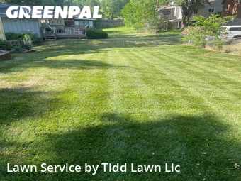 Grass Cut nearby Kansas City, KS, 
