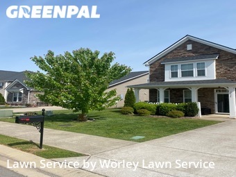 Lawn Mow nearby Murfreesboro, TN, 