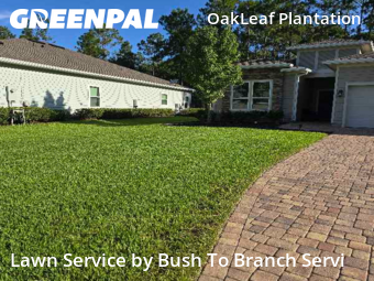 Yard Cutting nearby Middleburg, FL, 