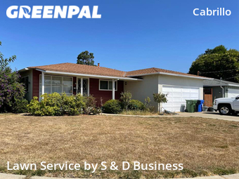 Lawn Mowing Service nearby Fremont, CA, 