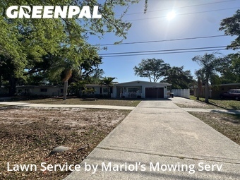 Lawn Mow nearby Oldsmar, FL, 