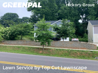 Grass Cut nearby Charlotte, NC, 