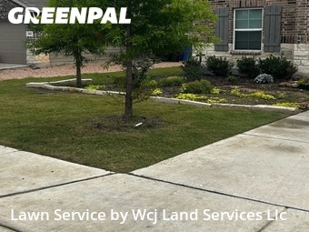 Grass Cut nearby New Braunfels, TX, 
