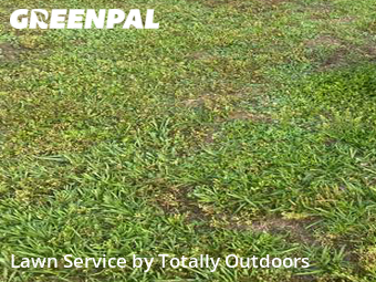 Lawn Cutting nearby Valdosta, FL, 