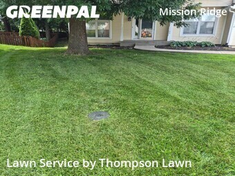Yard Cutting nearby Olathe, KS, 