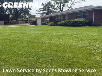 Lawn Cut nearby Belleville, IL, 