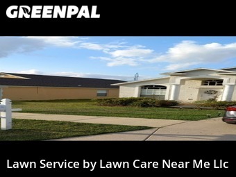 Grass Cut nearby Zephyrhills, FL, 