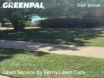Lawn Cut nearby Burleson, TX, 