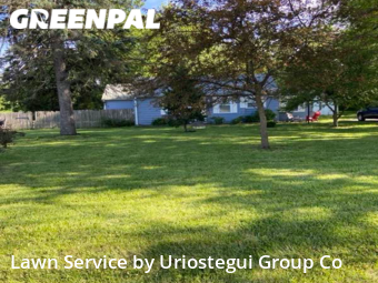Yard Work in Wadsworth, 60083, Grass Care by Uriostegui Group Co, work completed in Dec , 2025