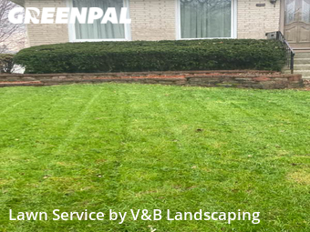 Grass Cutting nearby Matteson, IL, 