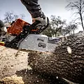 Northern Tool + Equipment 5