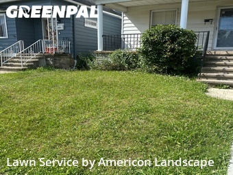 Lawn mowed in Scranton, 18504