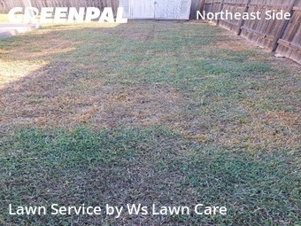 Lawn Cutting nearby Converse, TX, 