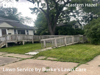 Grass Cutting nearby Saint Paul, MN, 