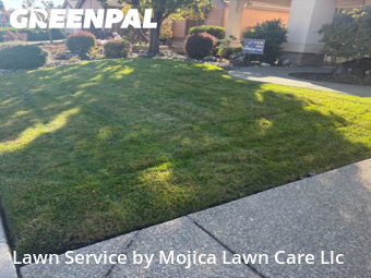 Yard Mowing in Lincoln, 95648, Lawn Services by Mojica Lawn Care Llc, work completed in Nov , 2025