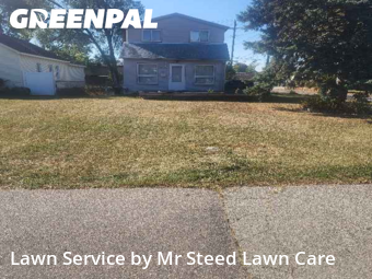 Backyard Mowing in Utica, 48317, Grass Care by Mr Steed Lawn Care, work completed in Dec , 2025