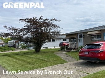 Commercial Landscaping In Buffalo,14219,Landscaping Services by Branch Out, work completed in Jun , 2026