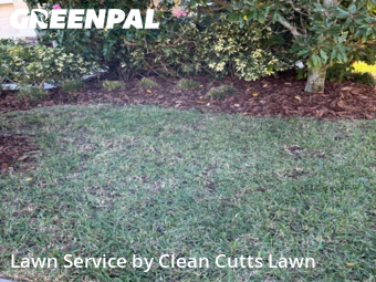 Lawn mowed in Apollo Beach, 33572