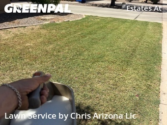 Lawn mowed in Chandler, 85286