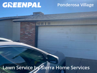 Yard Mowing in Phoenix, 85042, Yard Cutting by Sierra Home Services, work completed in Nov , 2025