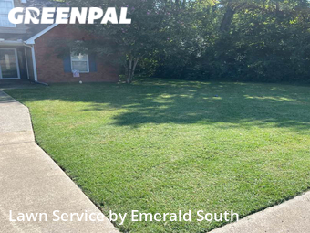 Lawn Mow nearby Murfreesboro, TN, 
