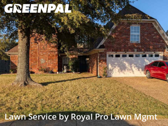 Lawn Cutting nearby Walls, MS, 