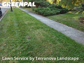 Lawn Maintenancein Aurora,60505,Lawn Mowing Service by Terranova Landscape, work completed in Nov , 2025