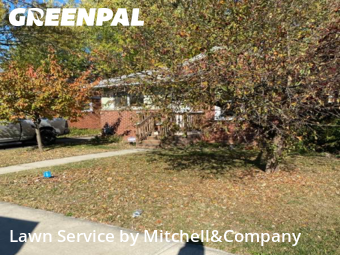 Weekly Mowing in Inkster, 48141, Yard Services by Mitchell&Company, work completed in Nov , 2025