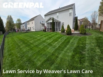 Lawn Maintenance nearby New Palestine, IN, 