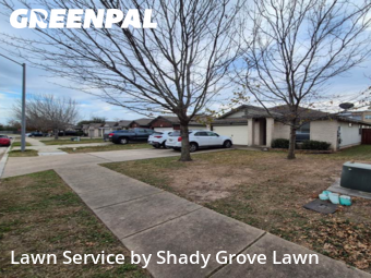 Lawn Cut nearby Hutto, TX, 