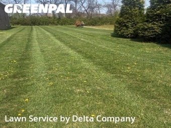 Lawn Service nearby Bowling Green, KY, 