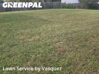 Lawn Mow nearby Nashville, TN, 