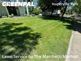 Grass Cut nearby Naperville, IL, 