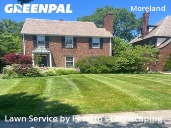 Lawn Maintenance nearby Shaker Heights, OH, 