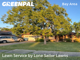 Lawn Mow nearby Corpus Christi, TX, 