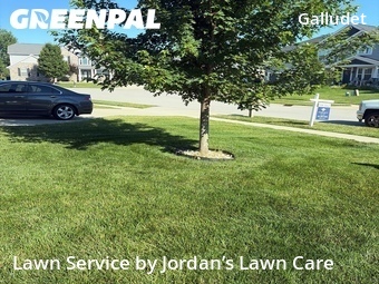 Yard Cutting nearby Indianapolis, IN, 
