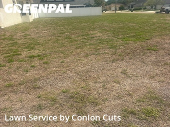 Lawn Cut nearby Bradenton, FL, 