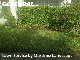 Lawn mowed in Horizon West, 34786