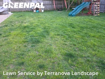Lawn Cuttingin Elmhurst,60126,Lawn Cutting by Terranova Landscape, work completed in Nov , 2025