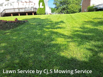 Grass Cutting nearby Jamestown, NC, 