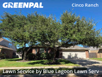 Lawn Mowing Servicein Katy,77494,Lawn Mowing by Blue Lagoon Lawn Serv, work completed in Nov , 2025