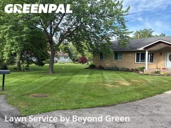 Grass Cut nearby Taylor, MI, 