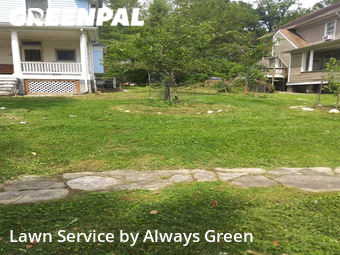 Lawn Care nearby Woodlawn, MD, 