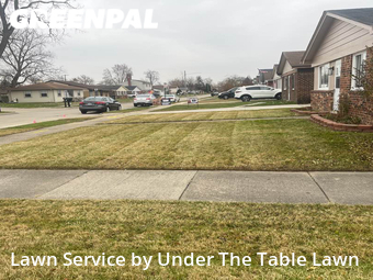 Lawn Mow nearby Madison Heights, MI, 