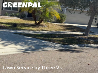 Lawn Cutin Riverview,33578,Lawn Mowing Service by Three Vs , work completed in Feb , 2026