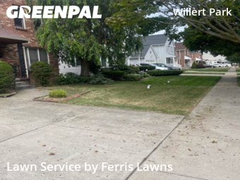 Grass Cutting nearby Buffalo, NY, 